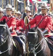 RCMP Musical Ride, Ottawa, Ontario