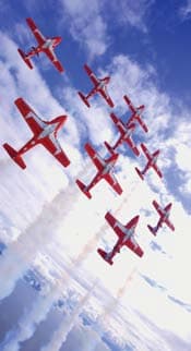 The Snowbirds (431 Air Demonstration Squadron) are a Canadian icon