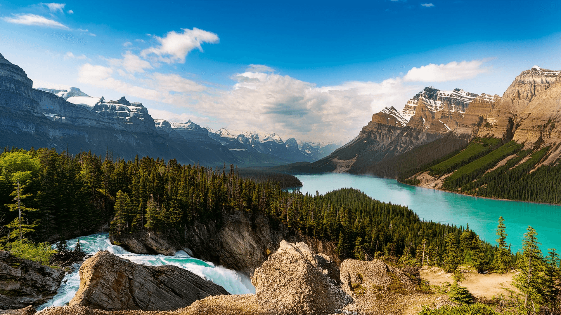 Pass Your Canadian Citizenship Test – Free Study Guides & Expert Practice Questions!